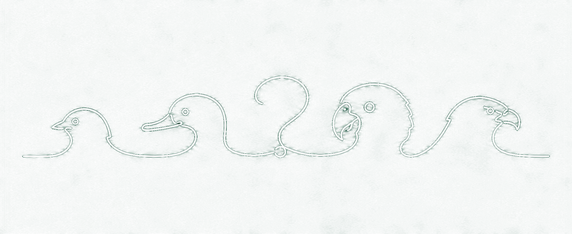 WhatDatBird logo